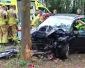 Gewonden nadat auto tegen boom in middenberm botst
