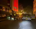 Zoekactie naar labrador resulteert in hereniging