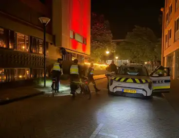 Zoekactie naar labrador resulteert in hereniging