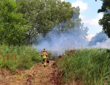 Bosschages in brand nabij treinspoor