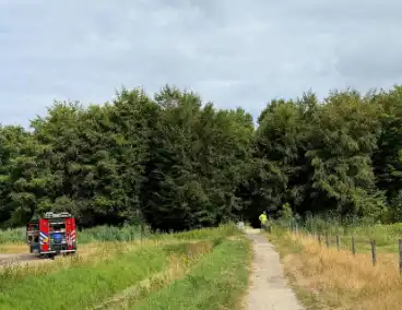 Buitenbrand snel geblust in bosgebied