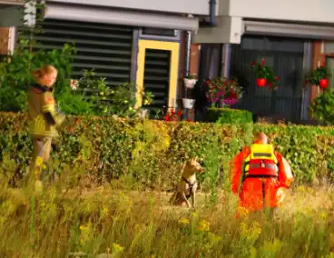 Hond gered na reddingsactie uit het water