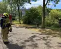Stroomkast in brand zorgde voor korte stroomuitval