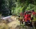 Brand in duingebied onder controle
