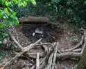 Buitenbrand in bos geblust