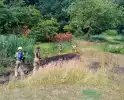 Riet en berm vatten vlam