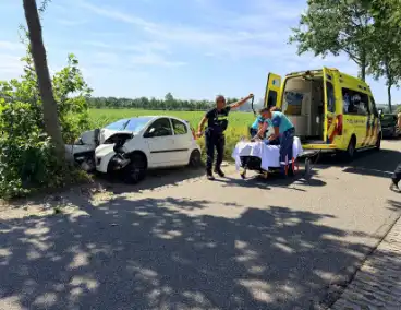 Automobiliste gewond na botsing tegen boom