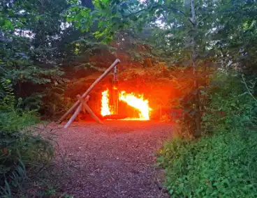 Flinke vlammen bij brand in bosschages