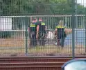 Jongeren opgemerkt langs het spoor