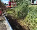 Brand in riet langs water snel onder controle