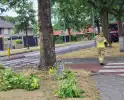 Brandweer verwijdert gevaarlijk hangende tak boven fietspad