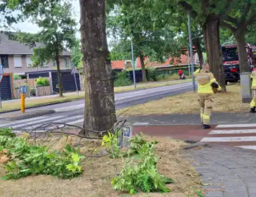 Brandweer verwijdert gevaarlijk hangende tak boven fietspad