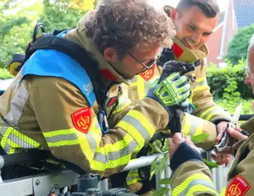 Kraai vast met poot in boom, brandweer schiet te hulp