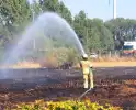 Groot stuk gras in brand naast transportbedrijf