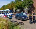 Fatbiker belandt op voorruit van auto