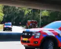 Brandweer schaalt uit voorzorg op bij bosbrand tijdens droogte