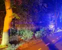 Brand in bosgebied leidt tot grote inzet