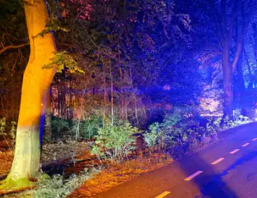 Brand in bosgebied leidt tot grote inzet