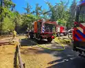 Beginnende bosbrand door snel optreden in de kiem gesmoord
