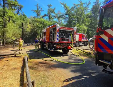 Beginnende bosbrand door snel optreden in de kiem gesmoord