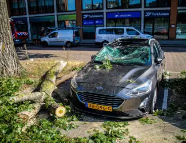 Grote tak valt op auto's en veroorzaakt schade