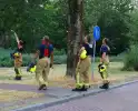 Brandweer zaagt boom omver na blikseminslag