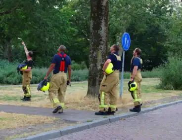 Brandweer zaagt boom omver na blikseminslag