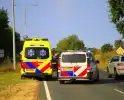 Aanrijding door remactie voor vogel