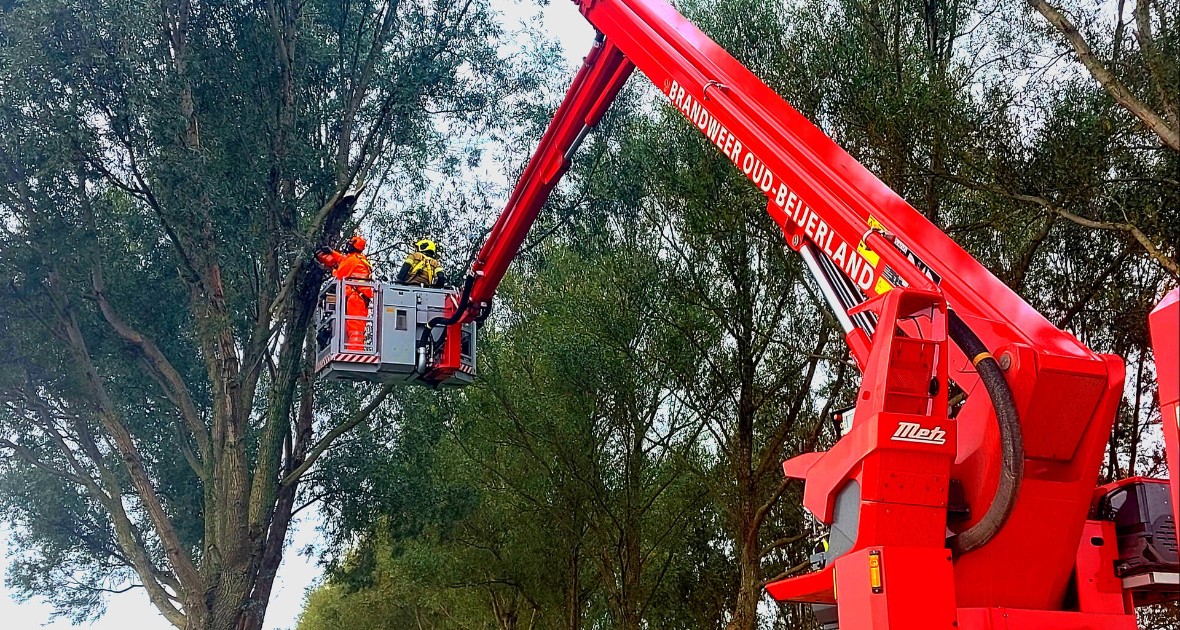 Brandweer verwijdert gevaarlijke hangende tak