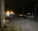 Auto raakt van de weg en botst tegen boom