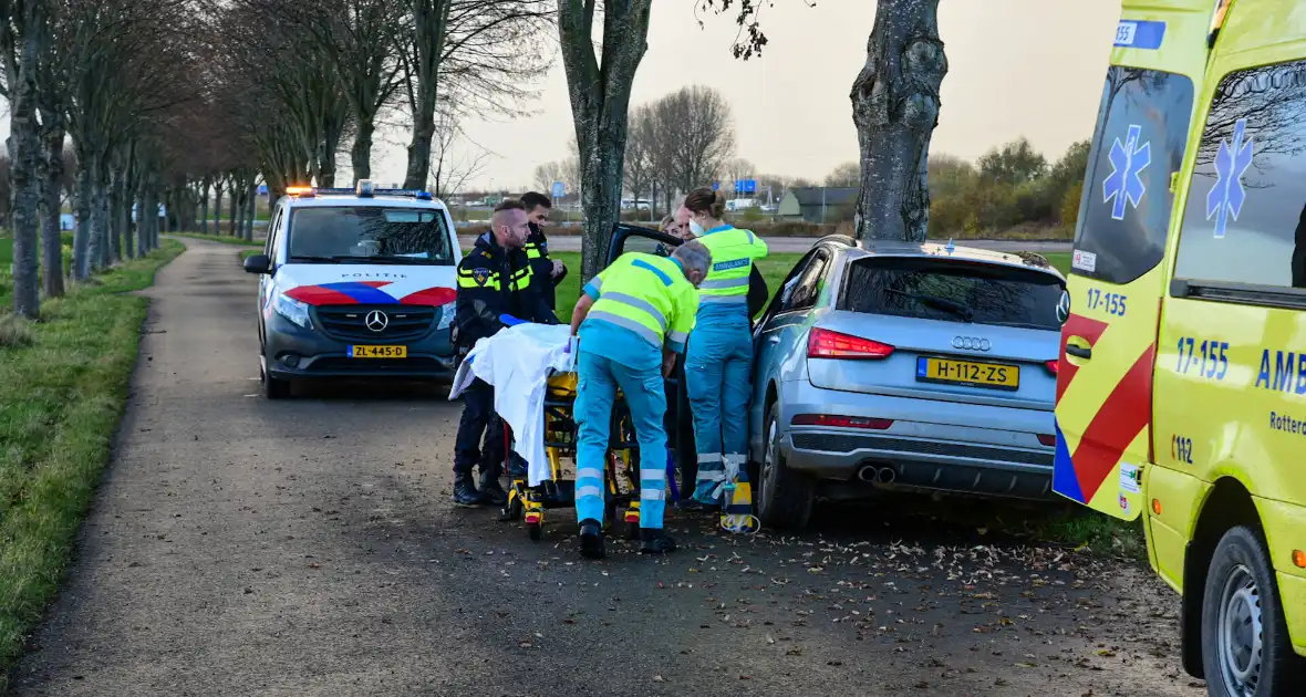 Automobilist botst met voertuig op boom - Foto 2