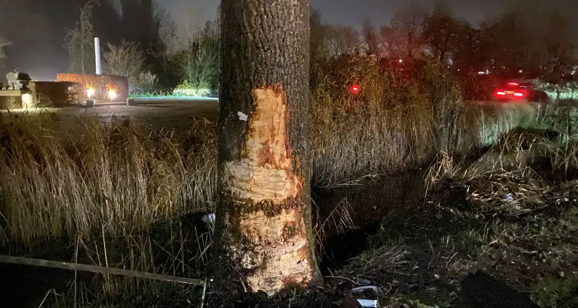 Auto knalt met hoge snelheid tegen meerdere bomen - Foto 2