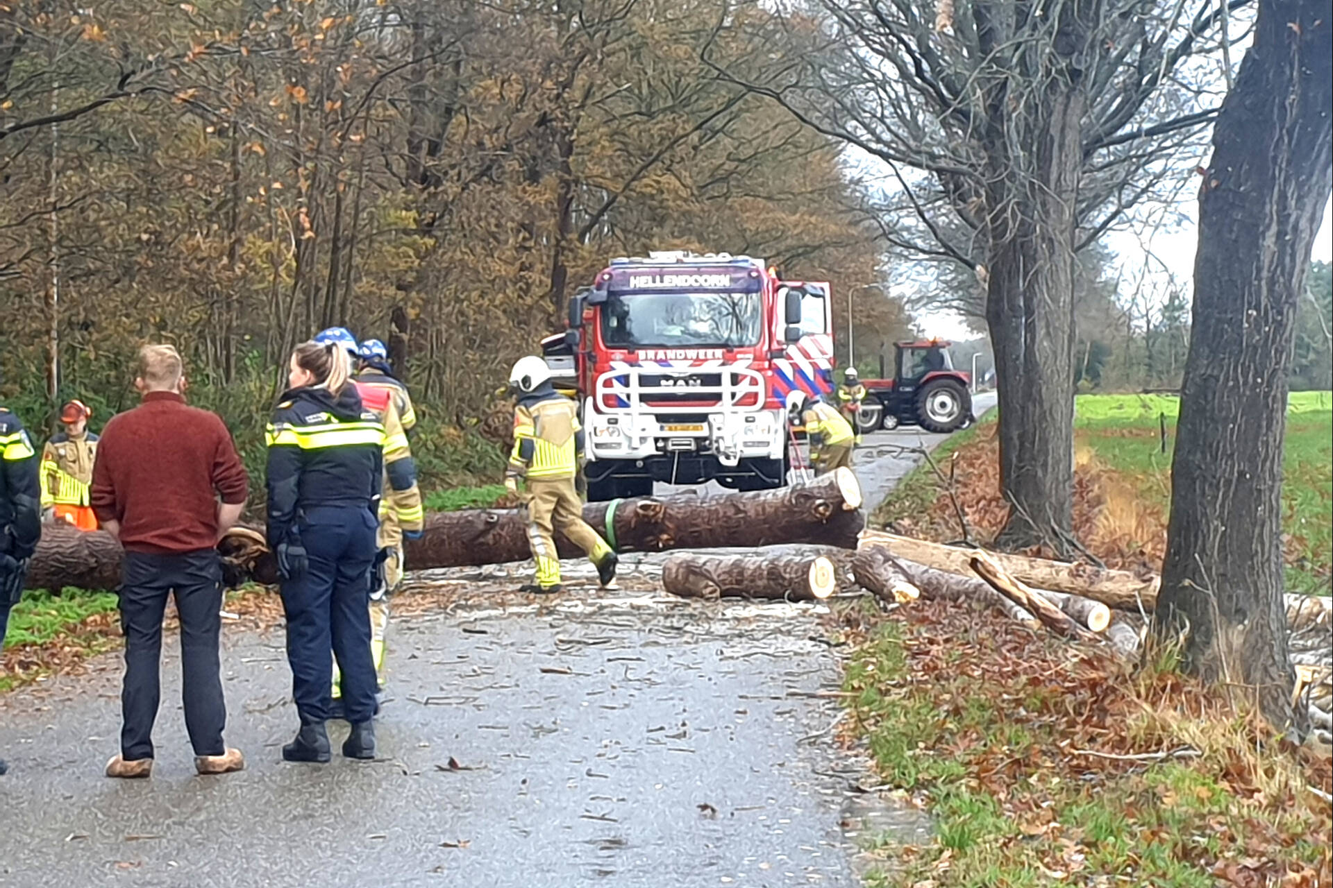 Weg Geblokkeerd Door Omgevallen Boom | 112-nu.nl