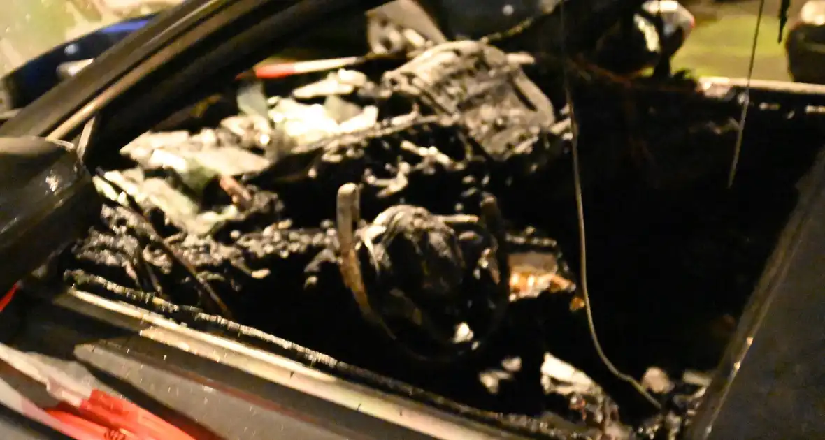 Geparkeerde auto verwoest door brand - Foto 7