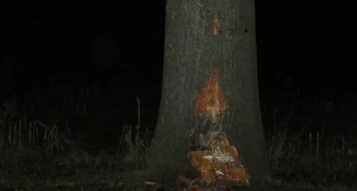 Schade aan bestelbus door botsing tegen boom - Foto 3