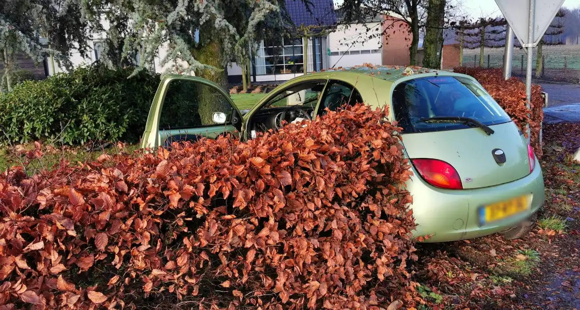 Automobilist rijdt lantaarnpaal uit de grond en komt in tuin tot stilstand - Foto 4