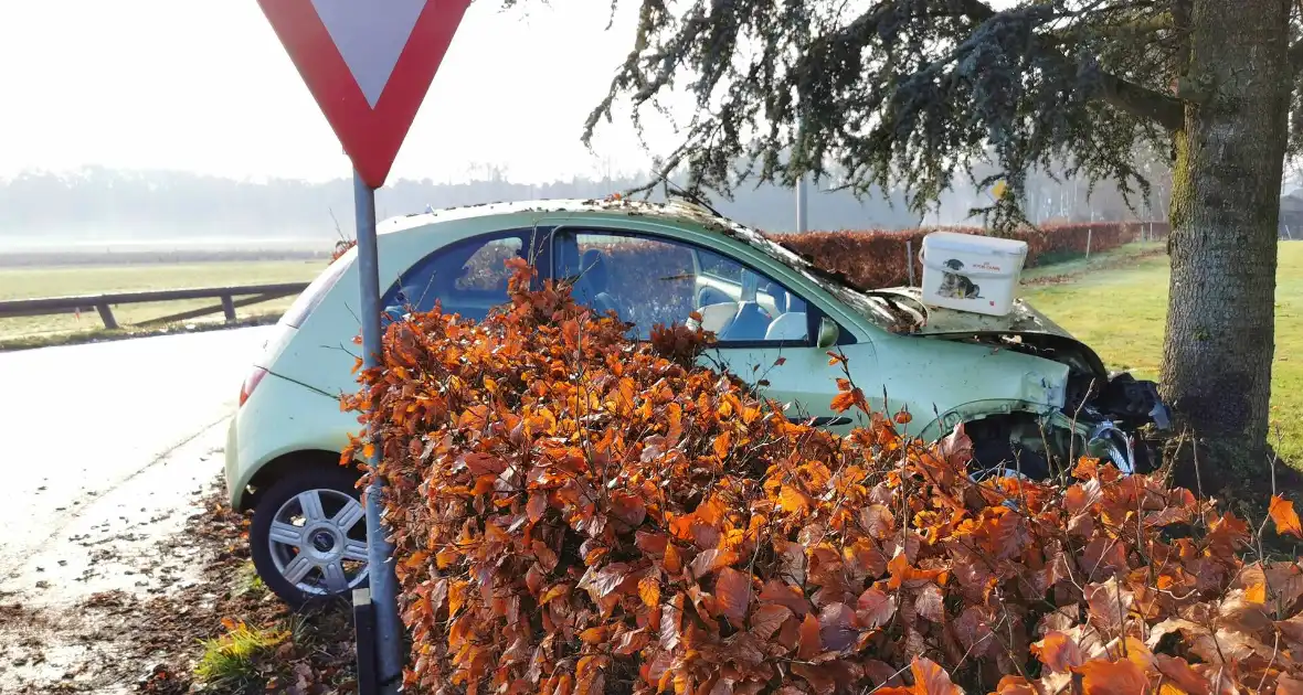 Automobilist rijdt lantaarnpaal uit de grond en komt in tuin tot stilstand - Foto 5