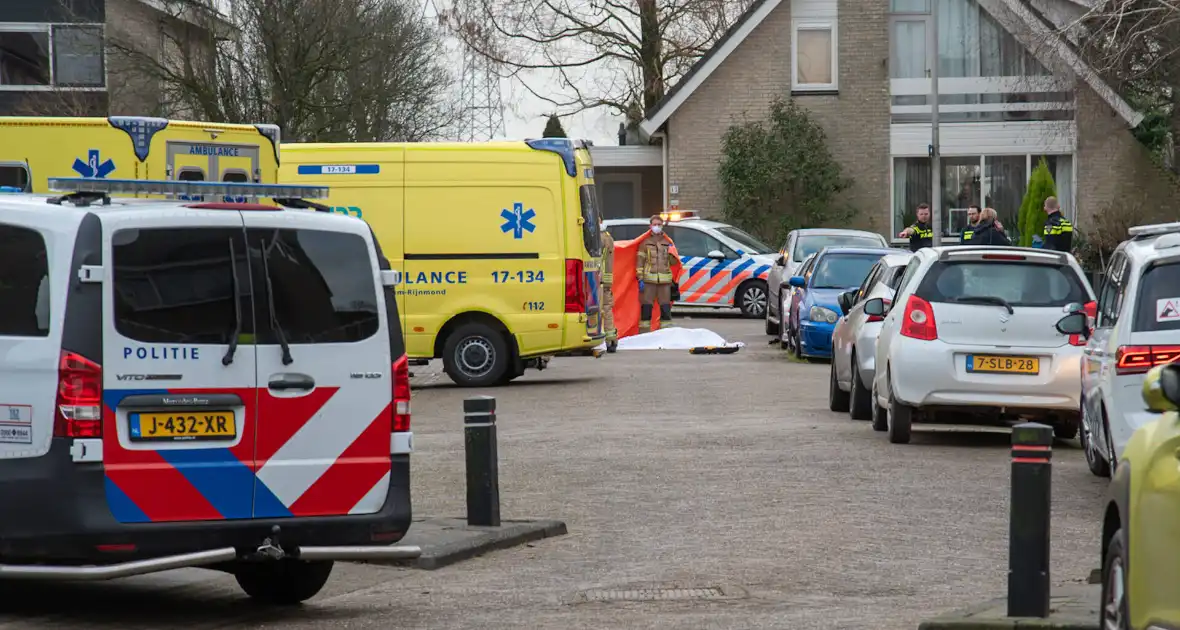 Vrouw overleden na steekpartij - Foto 7