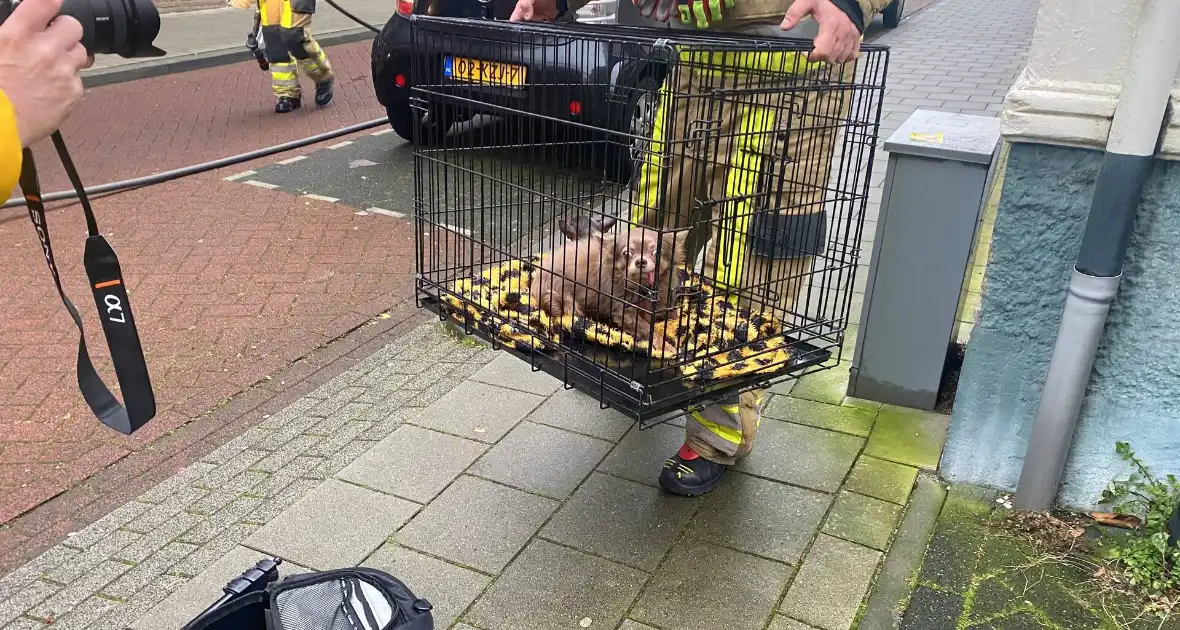 Gaslekkage ontstaan tijdens werkzaamheden - Foto 3