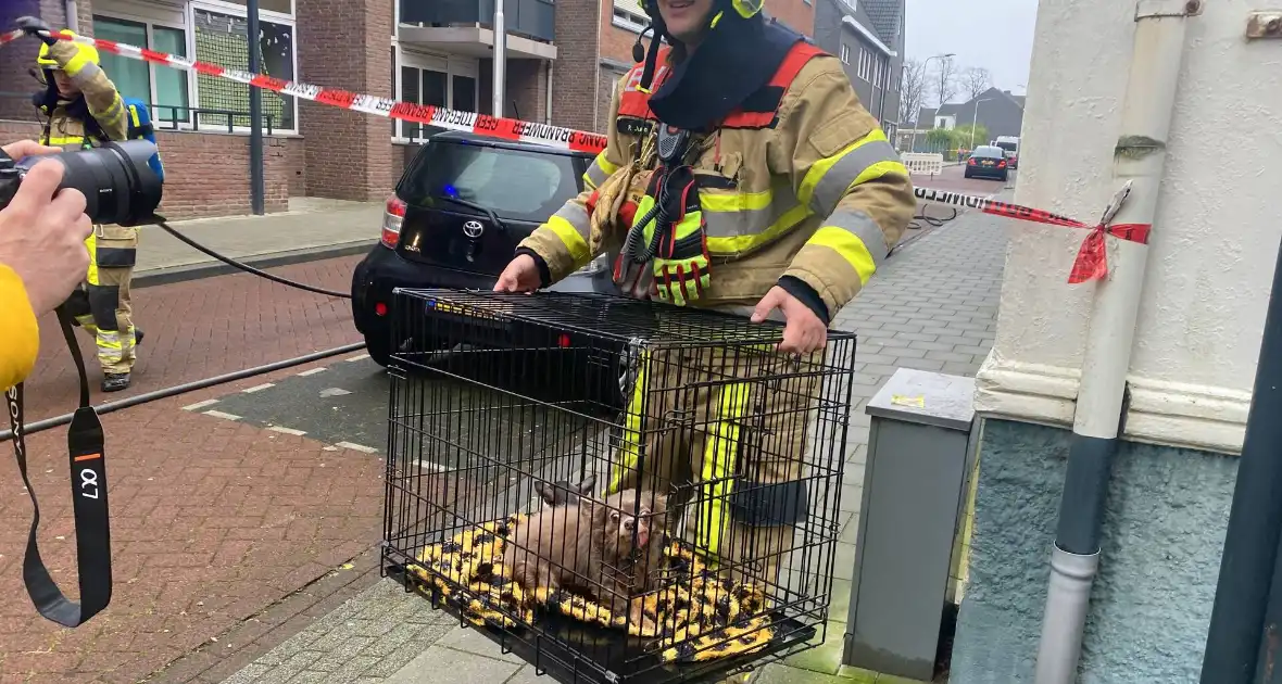 Gaslekkage ontstaan tijdens werkzaamheden - Foto 4