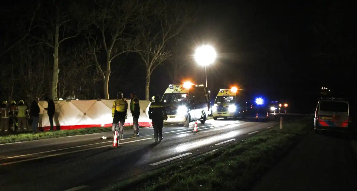 Automobilist overleden na botsing tegen boom - Foto 3