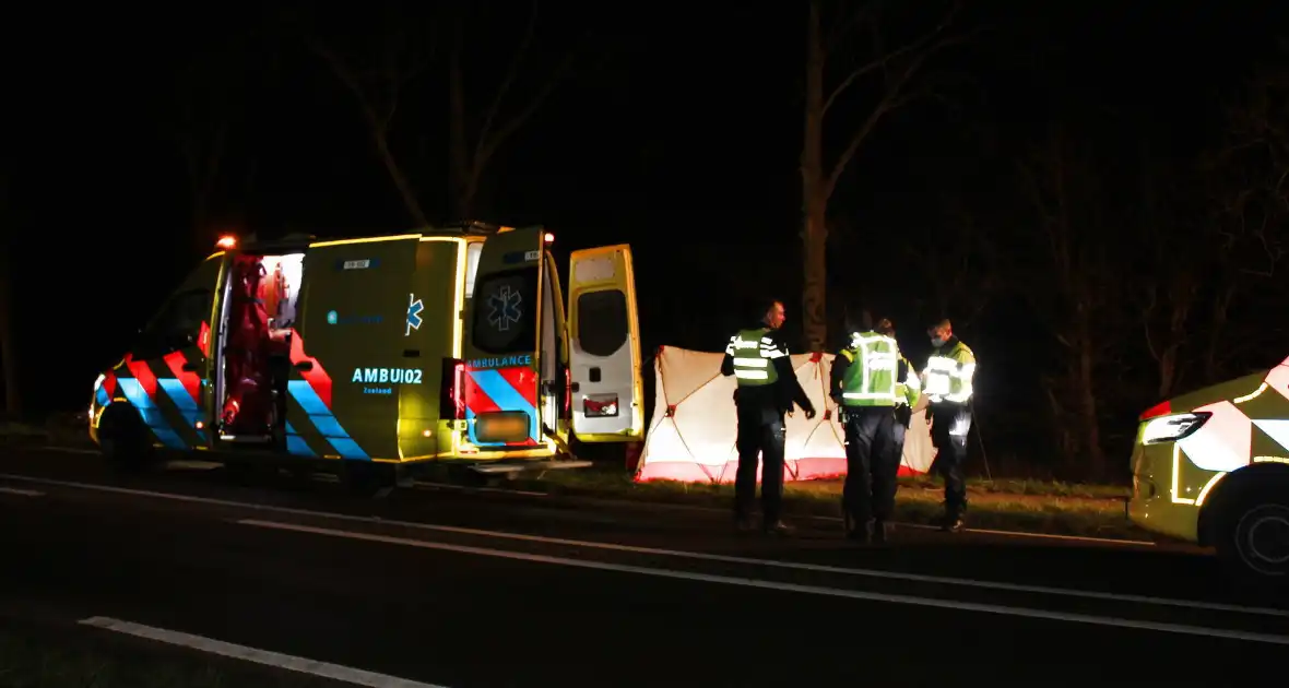 Automobilist overleden na botsing tegen boom - Foto 8