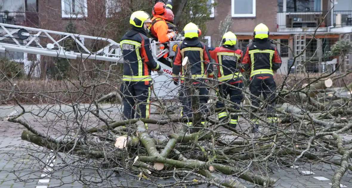 Hulpdiensten handen vol aan omvallende boom - Foto 2