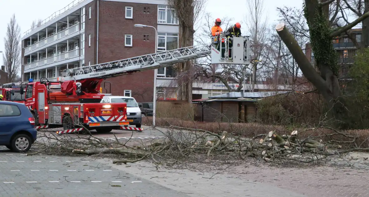 Hulpdiensten handen vol aan omvallende boom - Foto 6