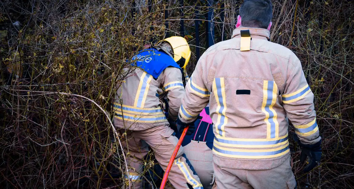 Brandweer redt ree uit hek - Foto 1