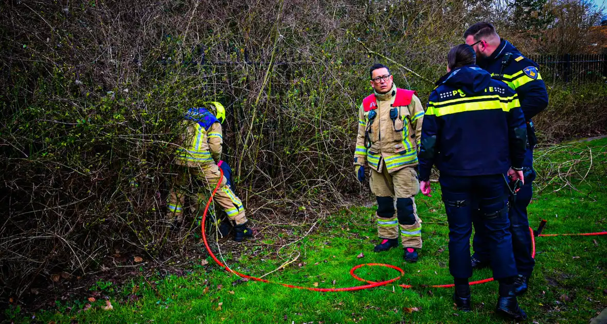 Brandweer redt ree uit hek - Foto 10