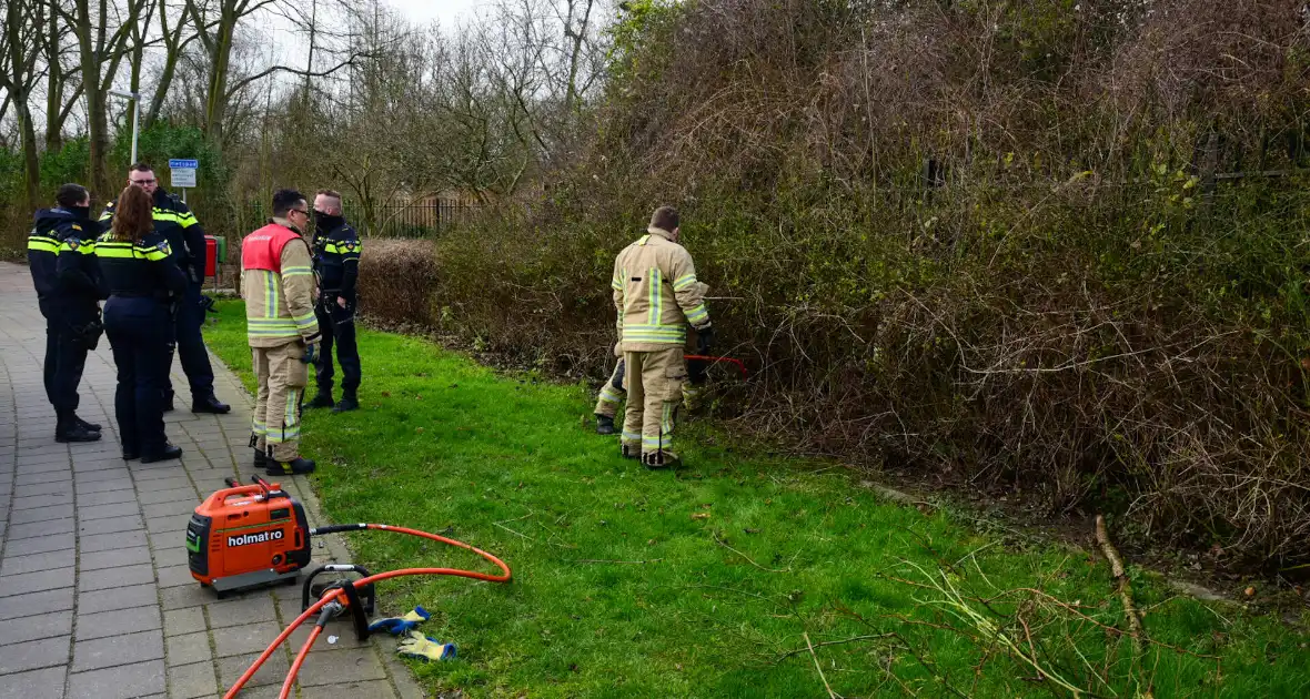 Brandweer redt ree uit hek - Foto 2