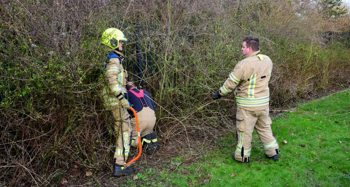 Brandweer redt ree uit hek - Foto 4