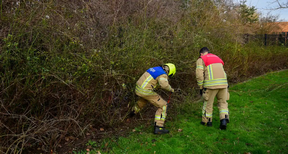 Brandweer redt ree uit hek - Foto 9