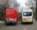 Duikers van de brandweer reden vastzittende meeuw